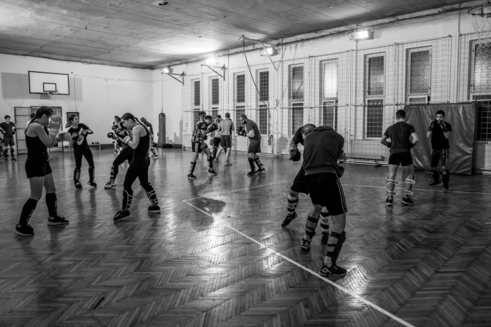partizan8